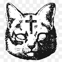圣彼得猫十字角马耳他十字猫