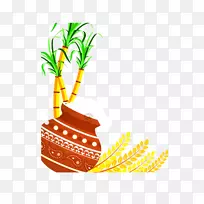 泰国Pongal makar Sankranti Mattu Pongal幸福-人