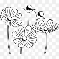花卉设计黑白单色绘画花