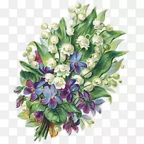 火星冒险脱钩动画观赏植物-动画