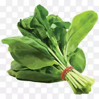 菠菜沙格叶蔬菜有机食品蔬菜