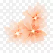 芙蓉桌面壁纸电脑粉红m壁纸-电脑