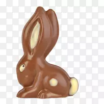兔子复活节兔子巧克力雕像-巧克力