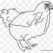 鸡块鸡夹艺术-鸡