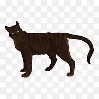 勇士队的猫科动物
