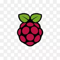 raspberry pi安装标志嵌入式系统Centos