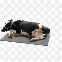 牛床垫制造业农业床垫