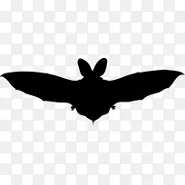 蝙蝠翼夹艺术