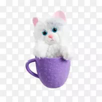 小猫，狗，茶杯，小狗-小猫