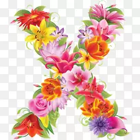 花卉设计字母表-花