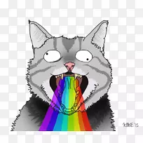 胡须猫呕吐彩虹一切都会没事的