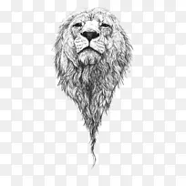 狮子画艺术素描-狮子