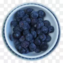 蓝莓越橘食品水果保健-蓝莓