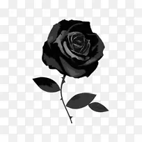 黑色玫瑰桌面壁纸夹艺术-玫瑰