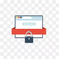 计算机安全Magento加密数据安全电子商务