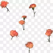 花园玫瑰DJ香料深加工(二)花卉设计