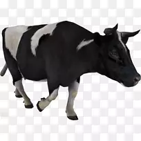 奶牛贴纸-克拉拉贝尔牛