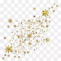 星雨星