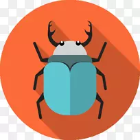 计算机病毒无脊椎动物计算机图标昆虫剪贴画昆虫