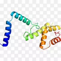 线点生物剪贴画线