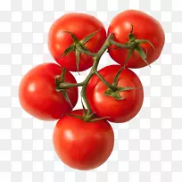 李子番茄灌木番茄有机食品蔬菜罗姆番茄蔬菜