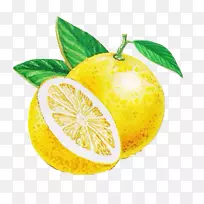 柠檬葡萄柚波斯酸橙朗普尔柑橘朱诺-柠檬