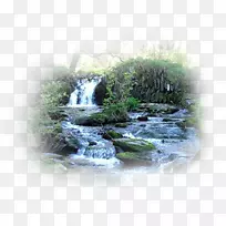 自然保护区勇气-水资源-安吉尼奥-达瓜达瀑布