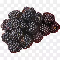 黑莓之旅-黑莓
