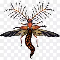 自然界中的甲虫艺术形式-蜜蜂