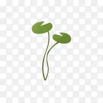 叶植物茎花叶