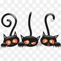 黑猫老鼠猫