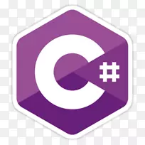 C#c+计算机编程javascript