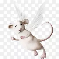 鼠标鼠电脑图标剪贴画鼠标