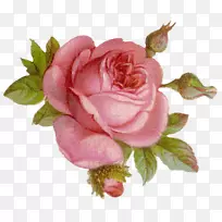 布餐巾花园玫瑰剪纸