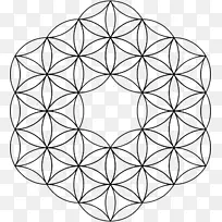 重叠圆网格神圣几何符号Metatron的立方体符号