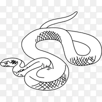 蛇画夹艺术-蛇