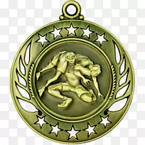 体育奖章-排球奖章
