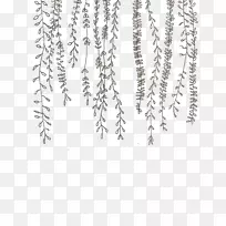 涂鸦画藤植物剪贴画-植物
