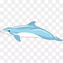 普通宽吻海豚窗口图元文件剪贴画-海豚