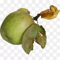 苹果水果艺术摄影-苹果