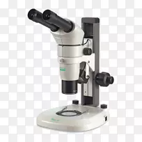 立体显微镜光学显微镜螳螂精锐立体镜显微镜