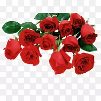 情人节桌面壁纸玫瑰-情人节