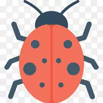 瓢虫电脑图标甲虫剪贴画甲虫