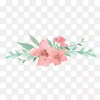 花卉设计-花卉