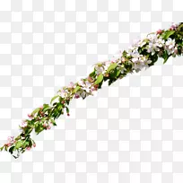 花卉设计小枝剪贴画-花