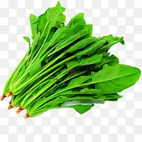 菠菜蔬菜马拉唐食品种子-蔬菜