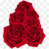 花园玫瑰光栅图形-玫瑰