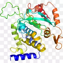 生物线动物剪贴画线