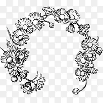 画花普通菊花剪贴画