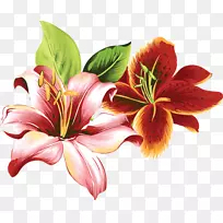 百合花百合花设计剪贴画-花